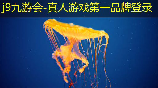 j9九游会官网-真人游戏第一品牌：超帅3d游戏特效怎么做