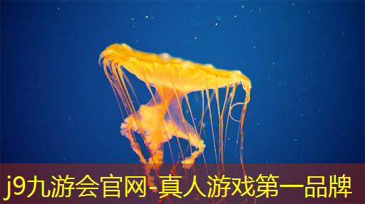 j9九游会真人第一品牌：抖音新年小游戏入口小程序
