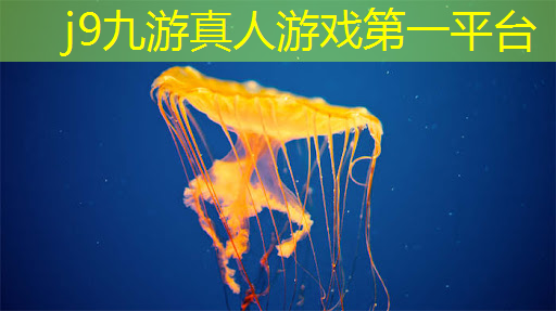 j9九游真人游戏第一平台：完美咖啡3d游戏特色介绍
