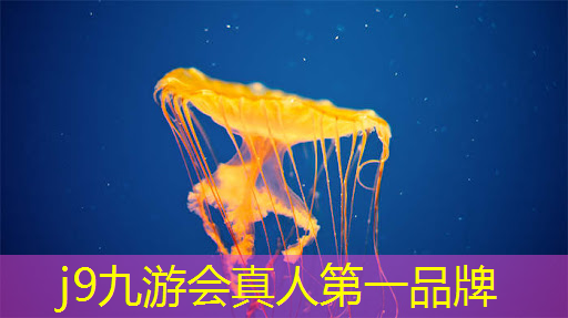 j9九游会官网-真人游戏第一品牌：有些什么游戏原画好看的