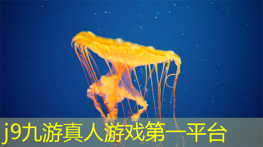 3d游戏女科学家是谁啊