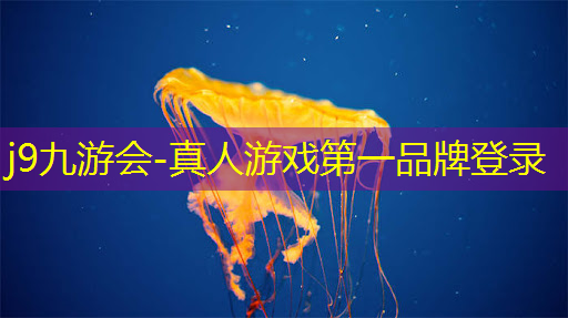 j9九游真人游戏第一平台：是否能够运行某个游戏程序