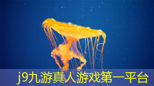 修真类小程序游戏大全免费