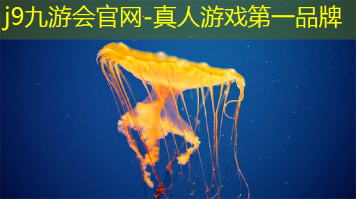 j9九游会真人第一品牌：粉笔战争游戏小程序入口