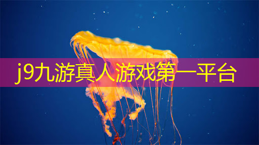 小程序游戏入口冒险猫