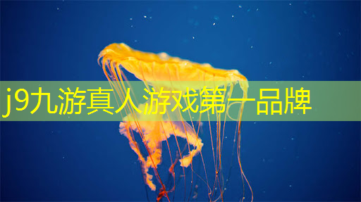 小程序黑客帝国怎么玩游戏