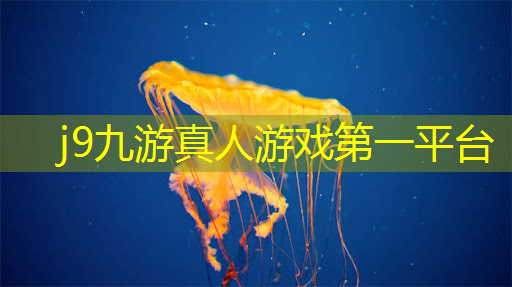 暴雪游戏中国人原画师叫什么
