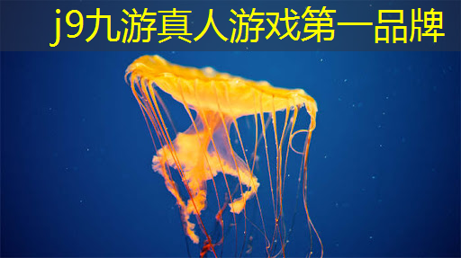 抖音新年小游戏入口小程序