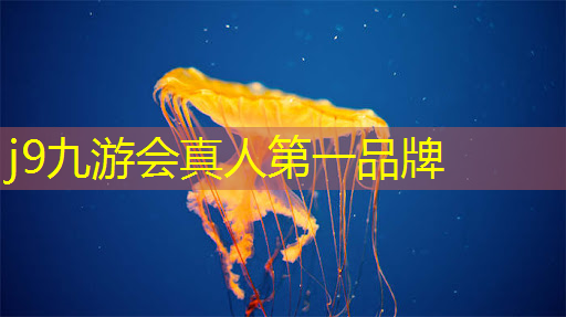 叠纸游戏3d乙女攻略