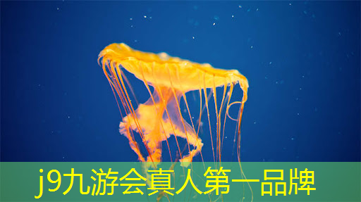 汽车变身游戏小程序有哪些