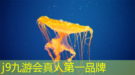 是否能够运行某个游戏程序