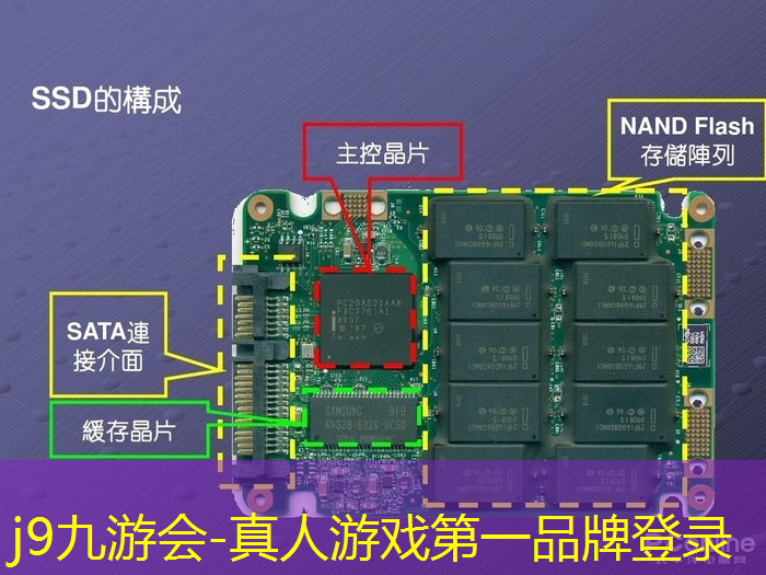 3d像素修仙游戏