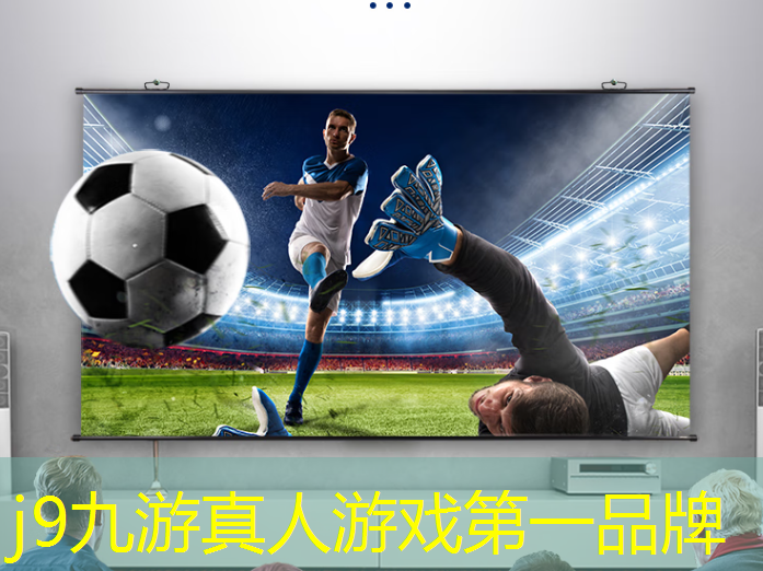 完不成的飞行3d游戏翻车了