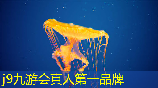 粉笔战争游戏小程序入口