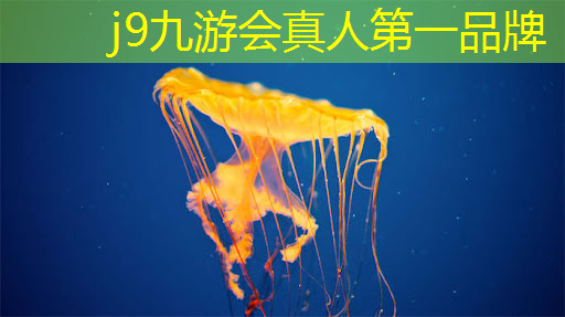 小程序游戏入口冒险猫